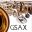 www.xn--saxophon-lbeck-psb.de